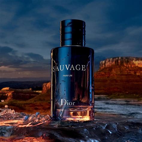 sauvage dior for men or women|dior sauvage cheapest price 100ml.